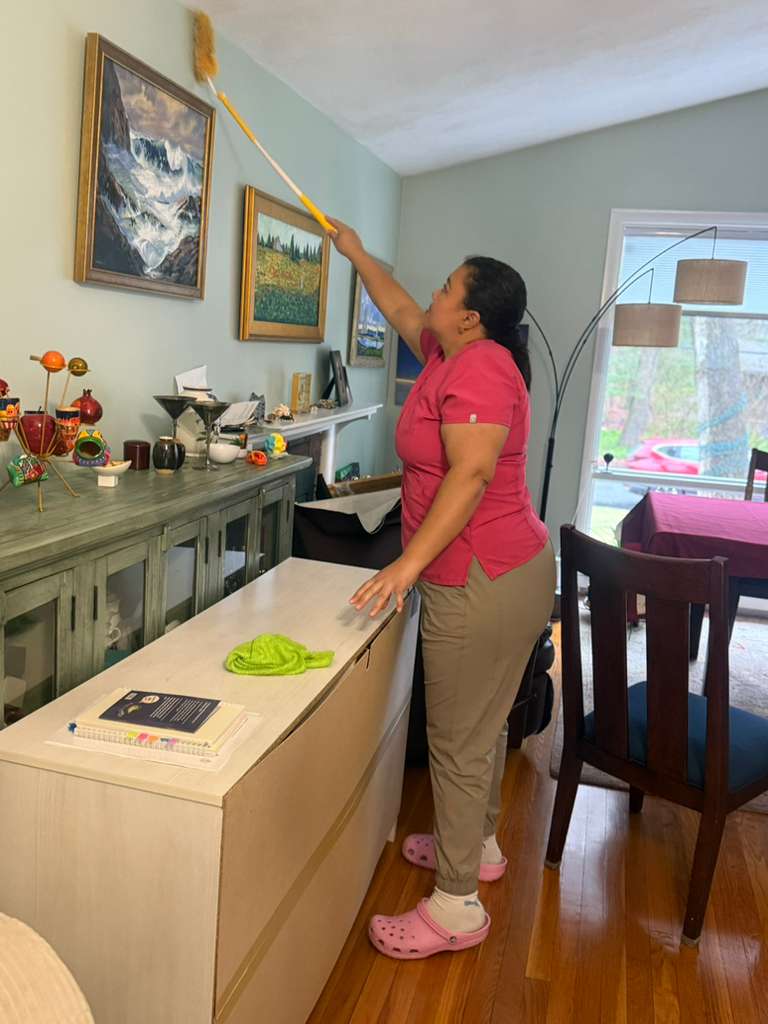 Professional home cleaning